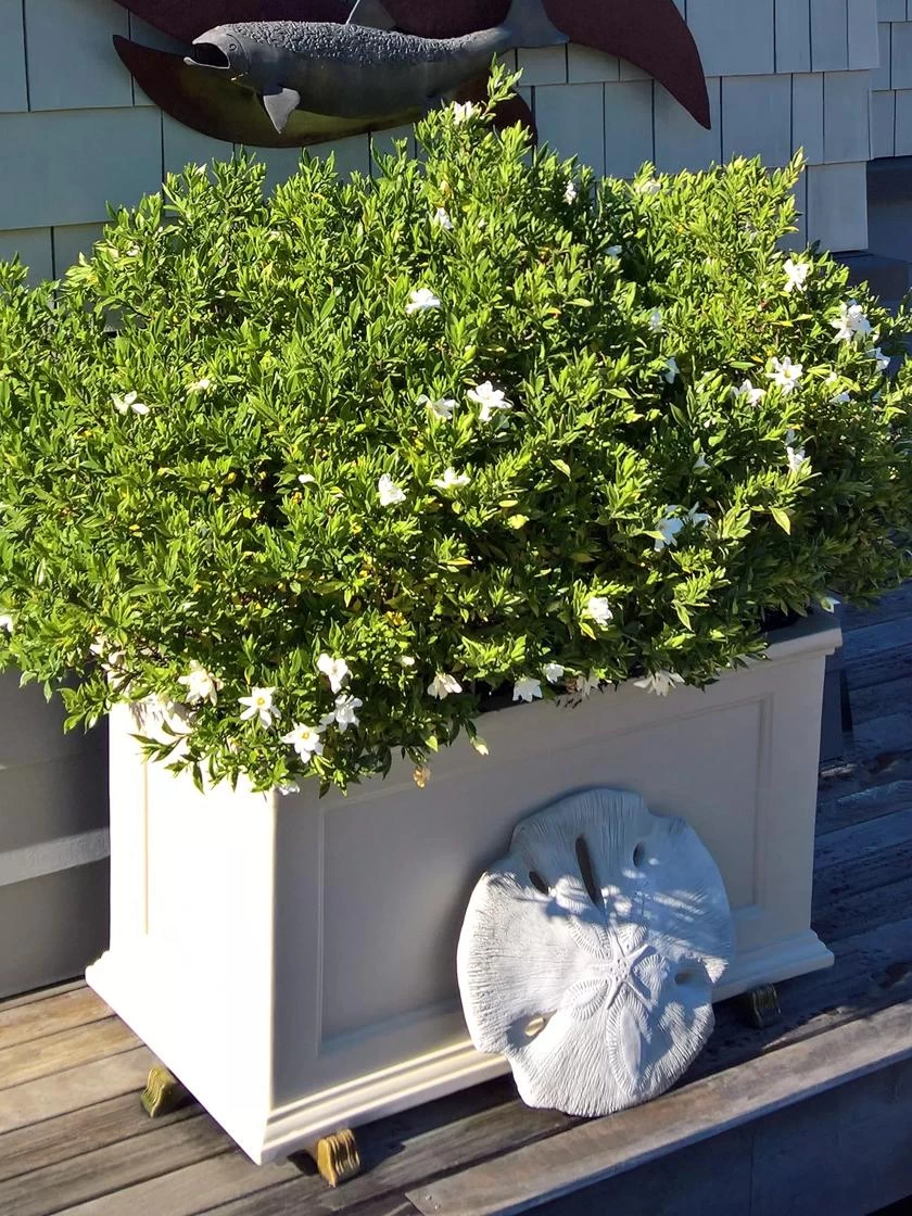 Fairfield Self-Watering Patio Planters, 20” X 36” - Image 3