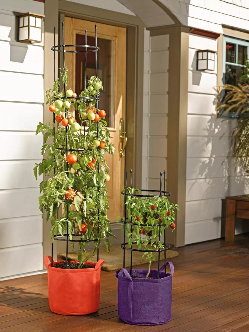 Gardener's BestĀ® Tomato Grow Bag Set - Image 4