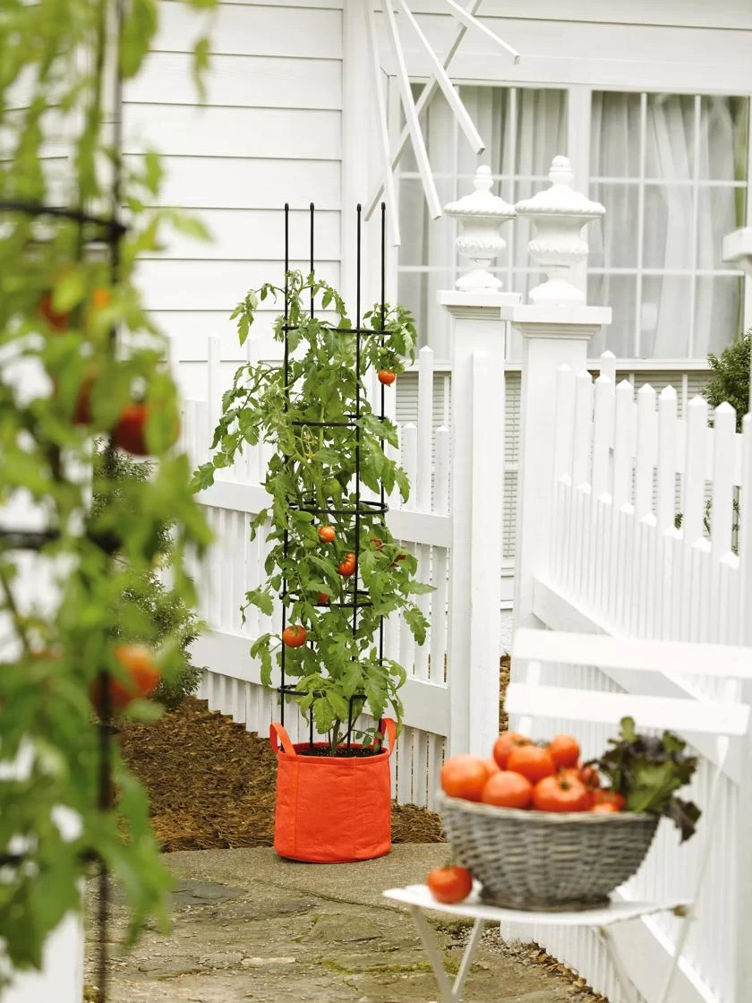 Gardener's BestĀ® Tomato Grow Bag Set - Image 2