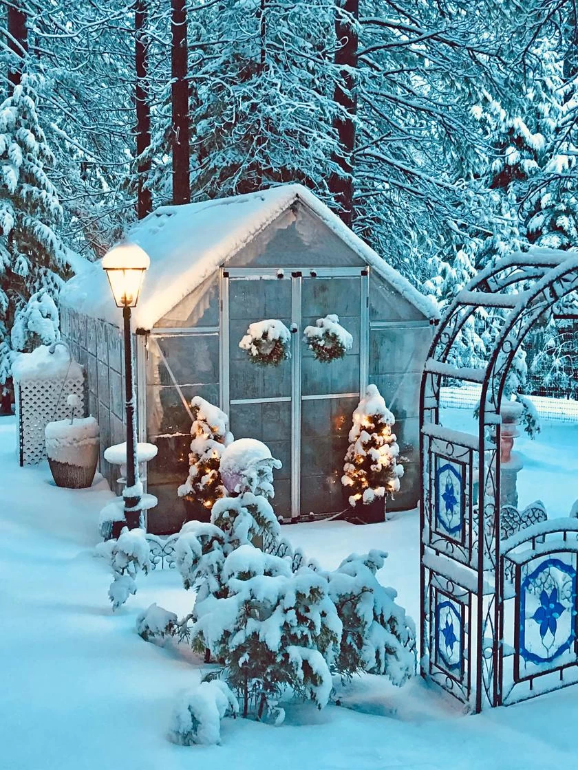 Canopia® By Palram Harmony™ Snap & Grow Greenhouse, 8' - Image 16