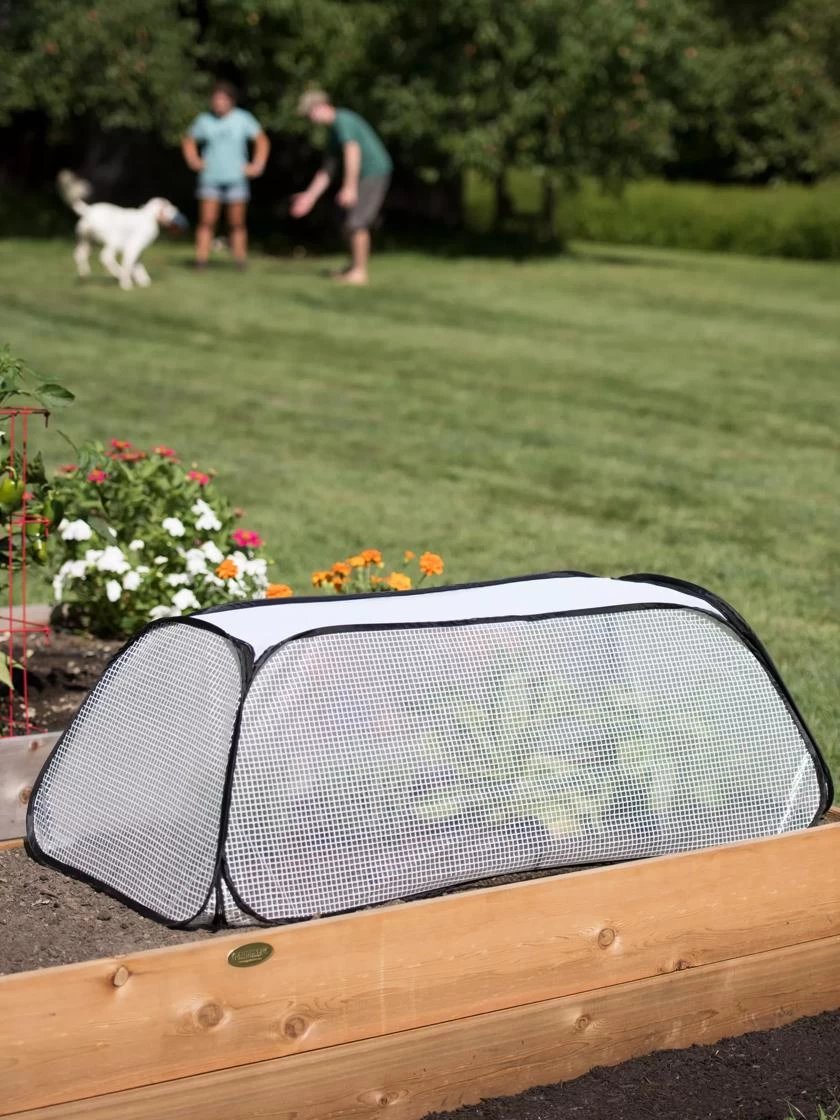 Row Shelter Accelerator - Image 2