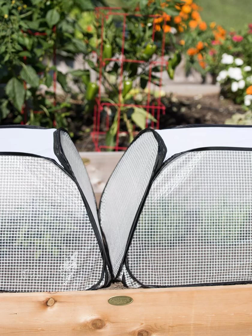 Row Shelter Accelerator - Image 4