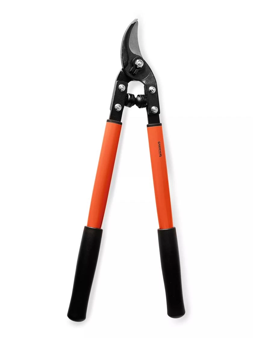 Short-Handled Bypass Loppers