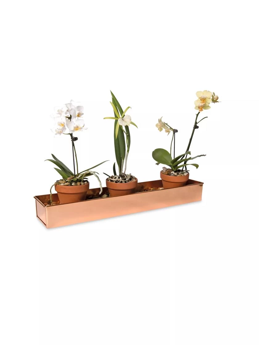 Rectangular Copper Plant Tray, 18"x4" - Image 2