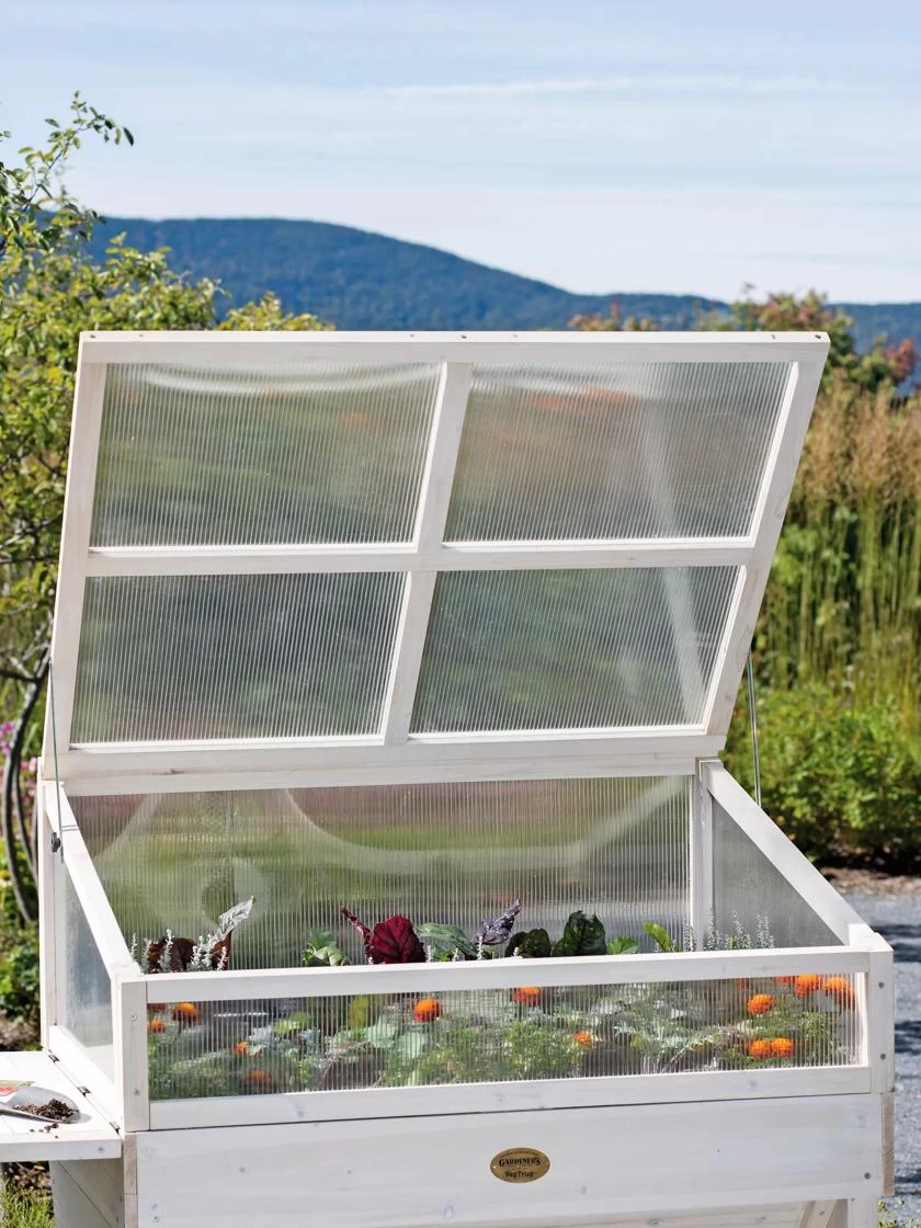 Cold Frame For Compact VegTrug® - Image 2