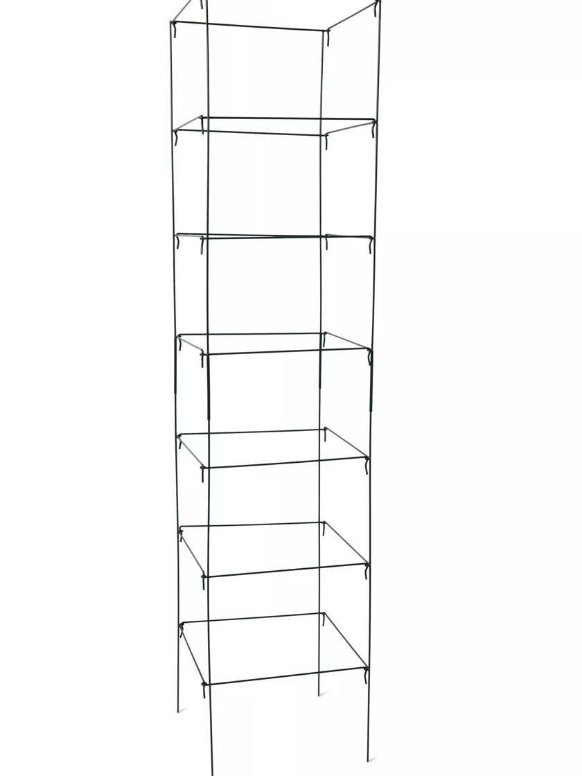 Mammoth Tomato Towers, Set Of 2 - Image 2