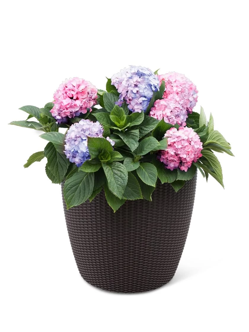 Weave Self-Watering Round Planter, 17" White - Image 2