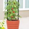 Gardener’s Victory Self-Watering Planter With Support System