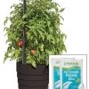 Gardener’s Victory Self-Watering Planter Garden Kit
