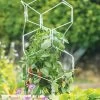 Gardener's Vertex Lifetime Pepper And Eggplant Cage
