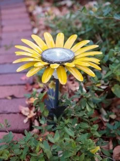 Desert Steel Daisy Solar Light