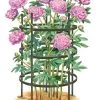 Titan Peony Supports, Large, Set Of 2