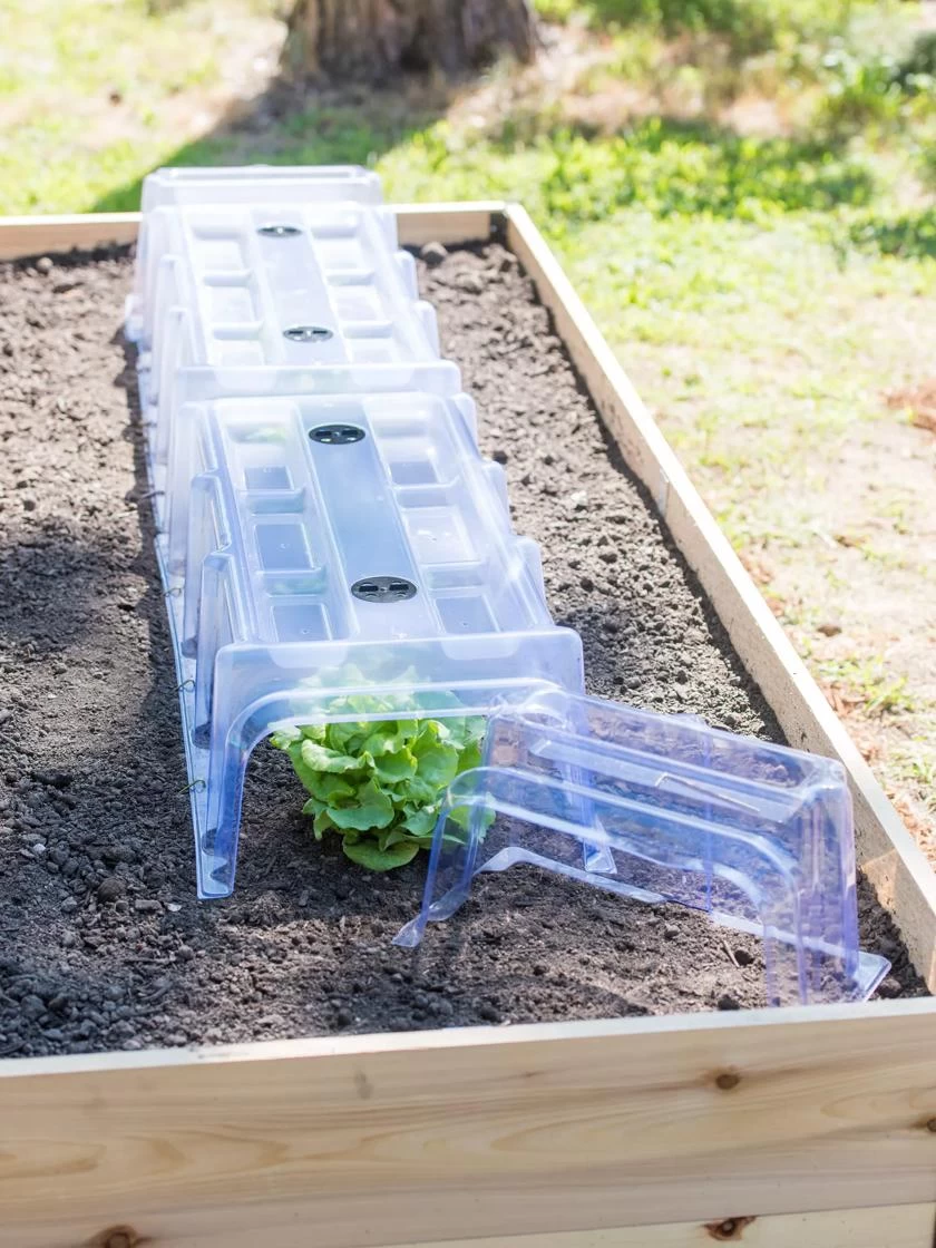 Cool Weather Row Cloches Set - Image 2