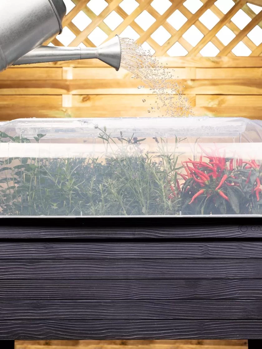 Urban Balcony Elevated Planter Cloche