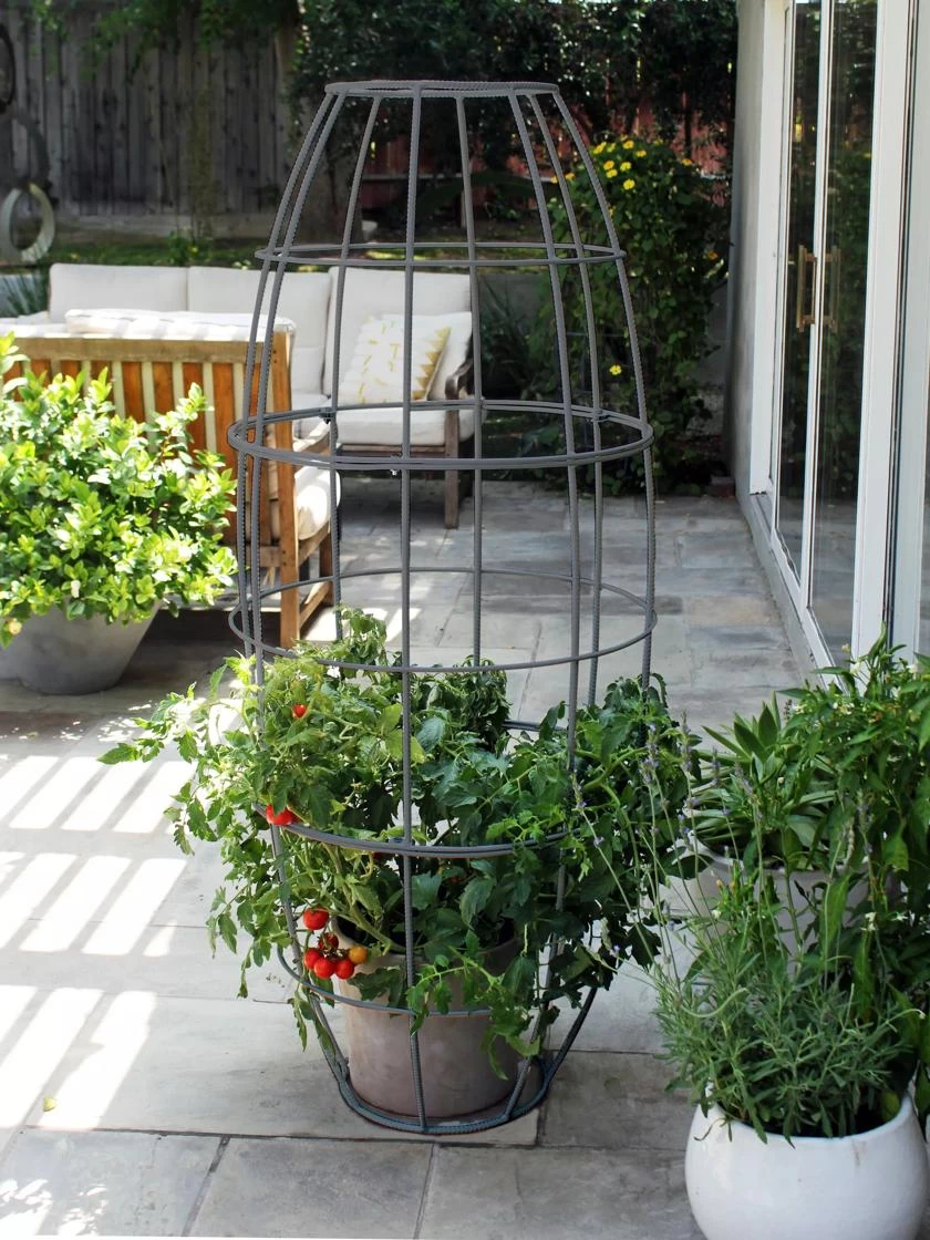 Toki Bubble Trellis - Image 3