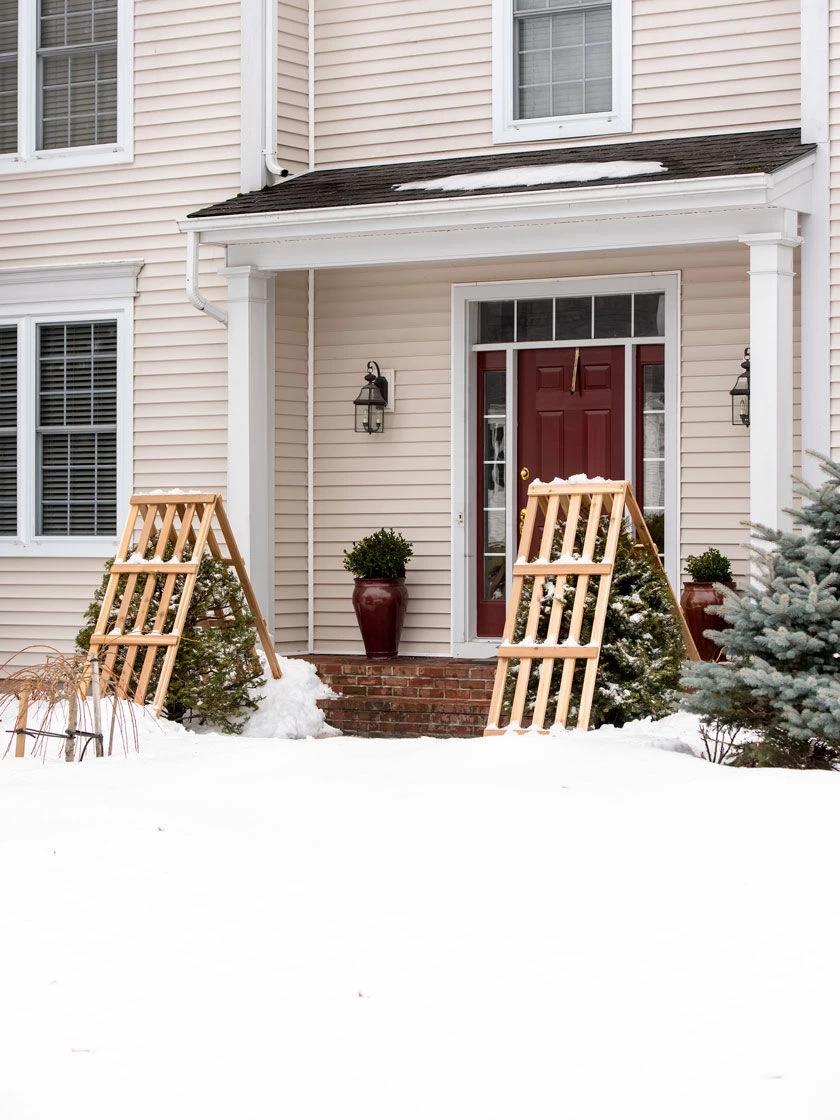Cedar Shrub Guard - Image 2