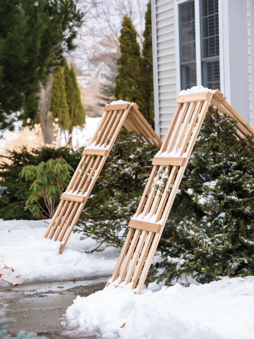 Cedar Shrub Guard - Image 4