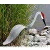 Florida Dancing Birds®, Sand Hill Crane
