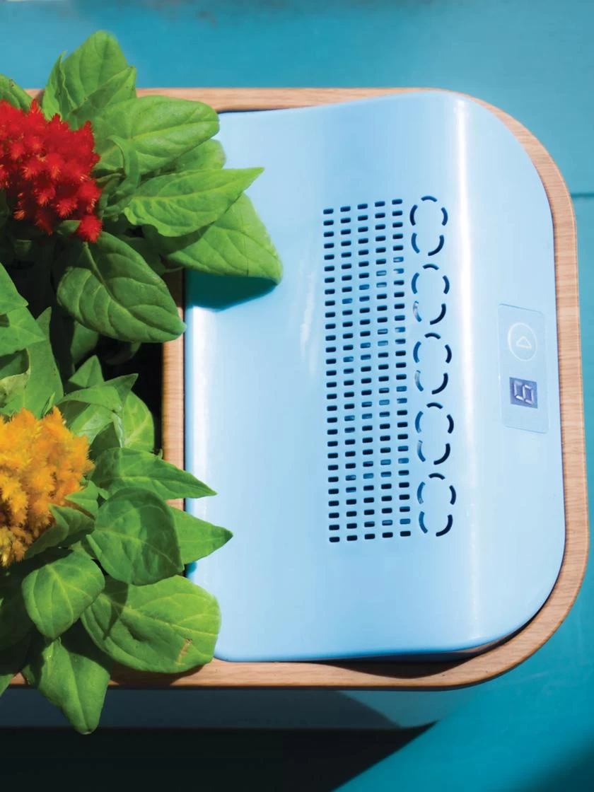 Dewplanter - Image 3