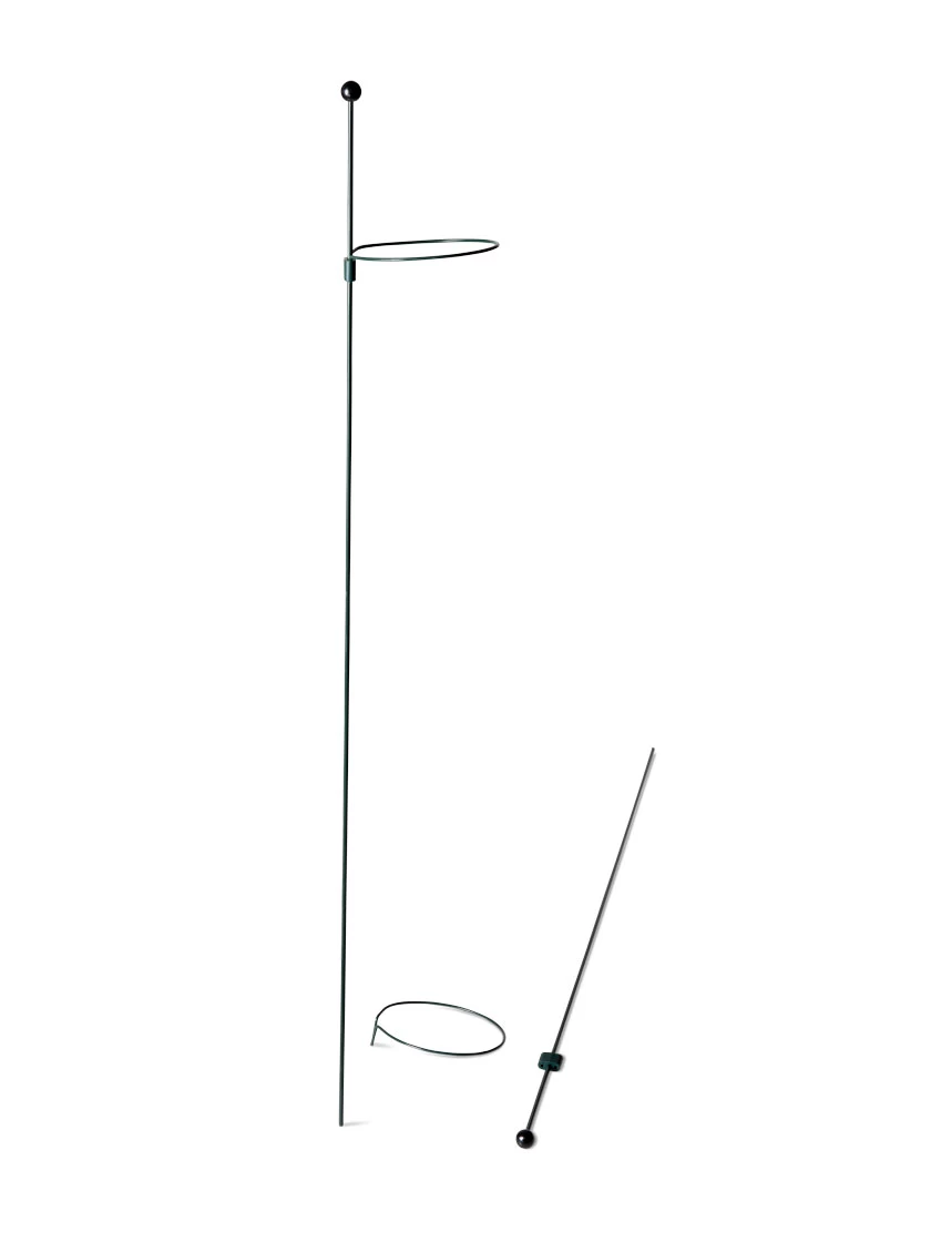 Peacock Mini Plant Support Rings 4", Set Of 2 - Image 5