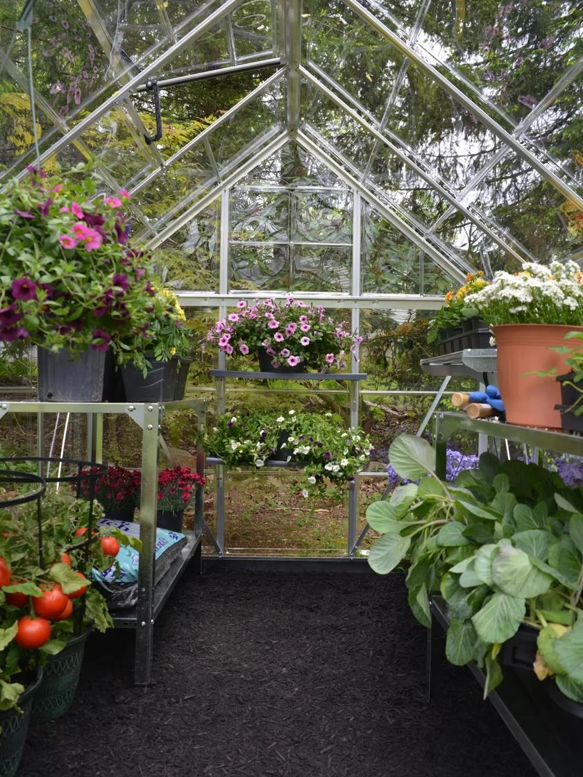 Canopia® By Palram Harmony™ Greenhouse, 6' X 14' - Image 4