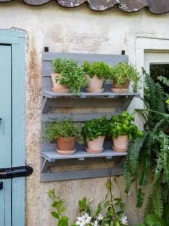 VegTrugĀ® Herb Rack