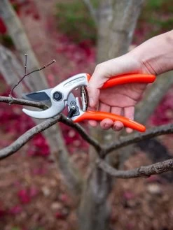 Castellari Ergonomic Anvil Pruner