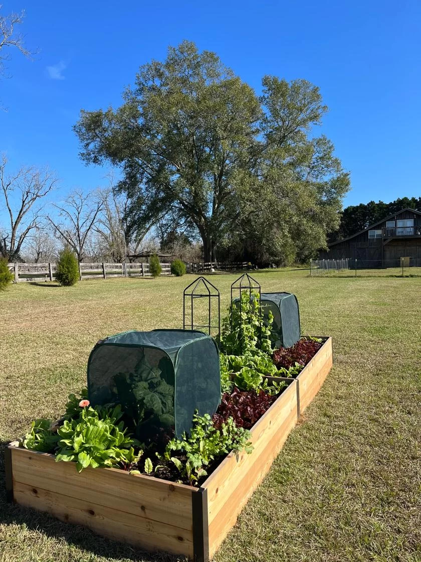 Pest Control Pop-Ups - Image 5