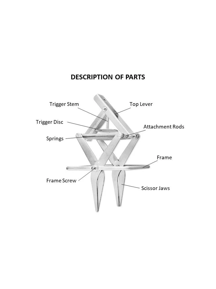 Easy Mole Trap - Image 4