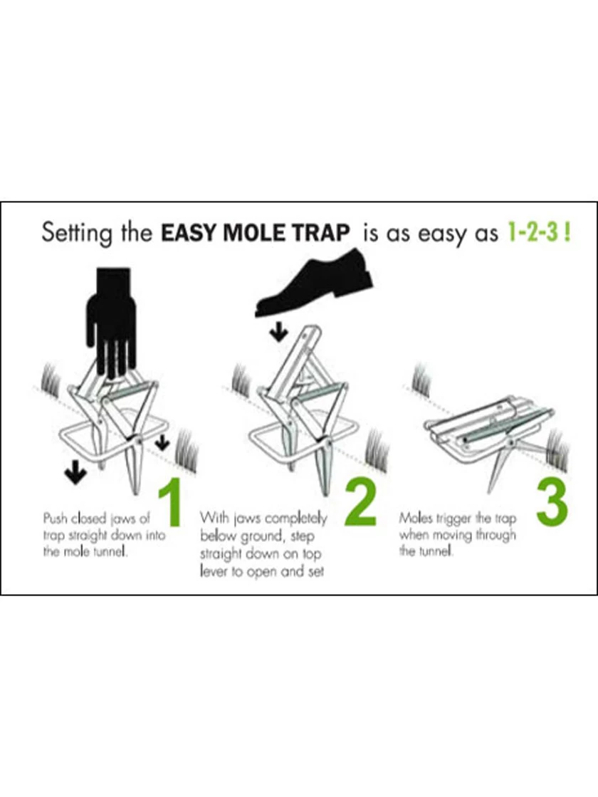 Easy Mole Trap - Image 3