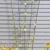 Flock Of Friends Wall Trellis