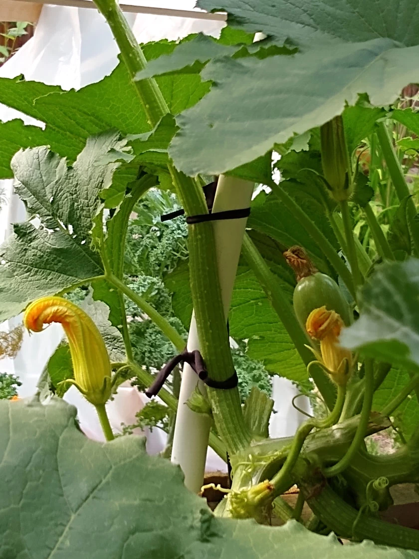 Farmyarn® Multipurpose Garden Tie, 2 Pack - Image 8