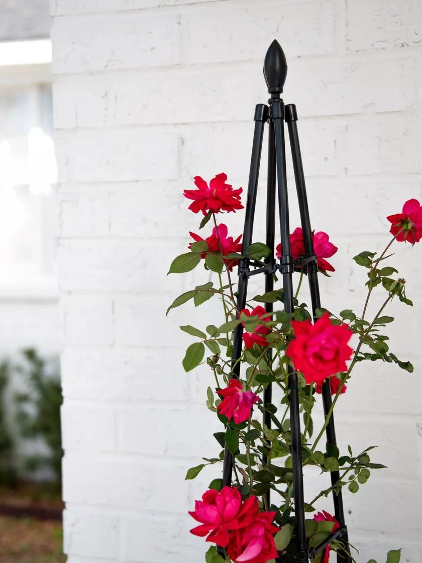 Teardrop Teepee Trellis, 47.25" - Image 2