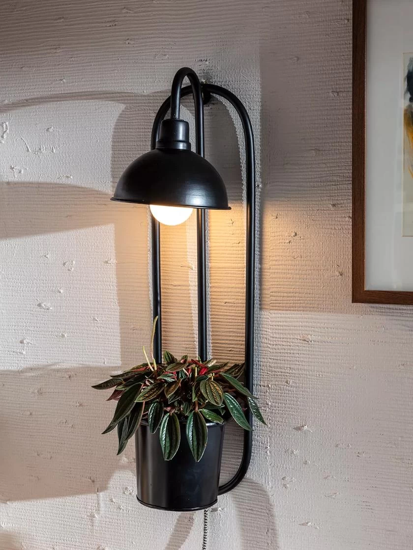 Kira Grow Light Hanging Planter