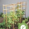 Bamboo Tomato Cages, Set Of 3