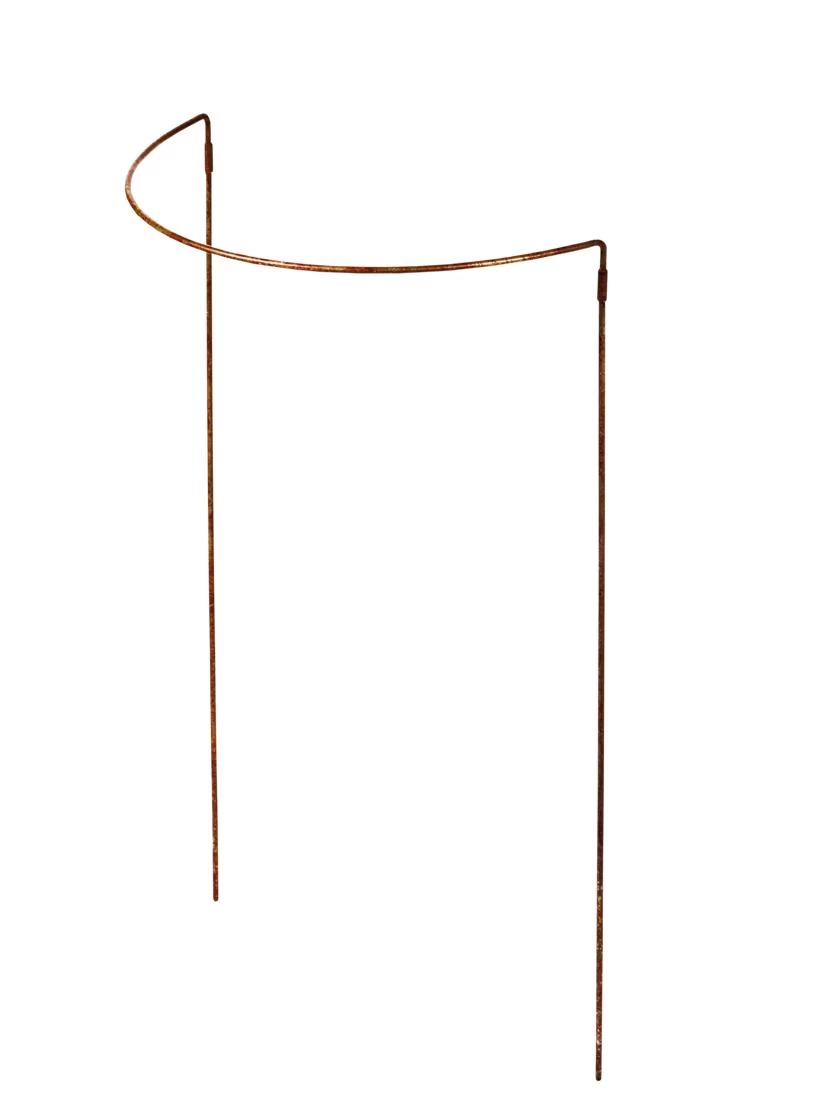 Jardin Half-Round Plant Supports, Set Of 2 - Image 2